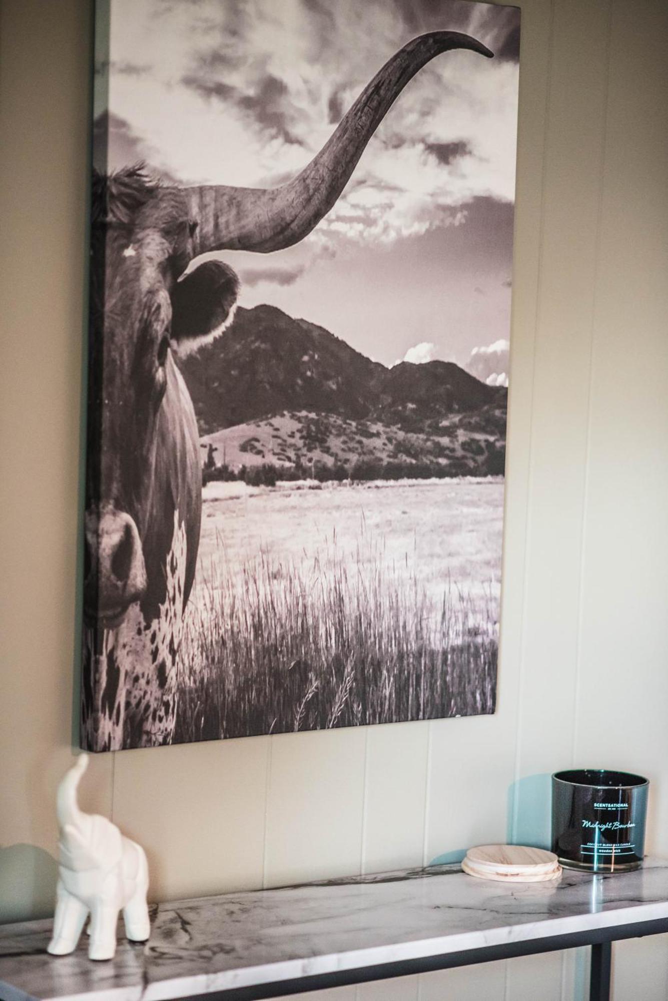 Villa Mount Tabor Ranch Near Vt - King Bed/Fast Wi-Fi Blacksburg Esterno foto